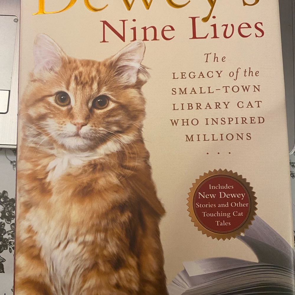 Dewey's Nine Lives Book - Orange and White Cover